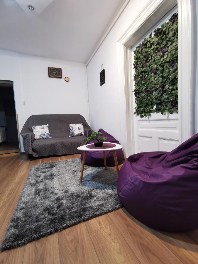 Fun House - Spacious Apartment Near Old Town Braşov Exterior foto